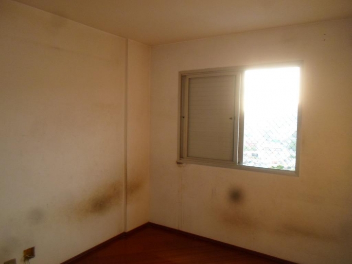 Apartamento para alugar com 2 quartos, 55m² - Foto 9