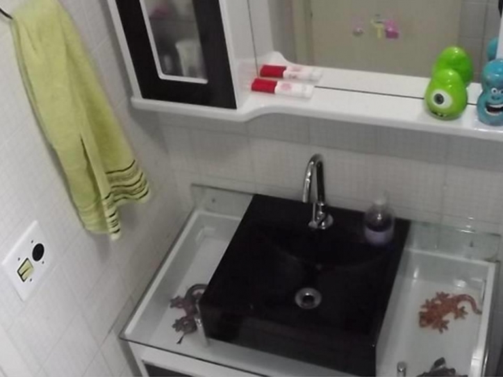 Apartamento à venda com 2 quartos, 60m² - Foto 6