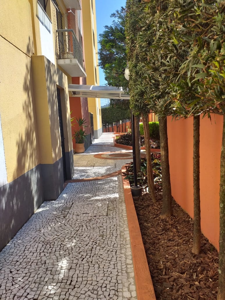 Apartamento à venda com 3 quartos, 65m² - Foto 12