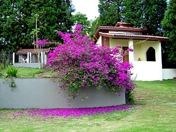 Fazenda à venda com 6 quartos, 5000m² - Foto 5