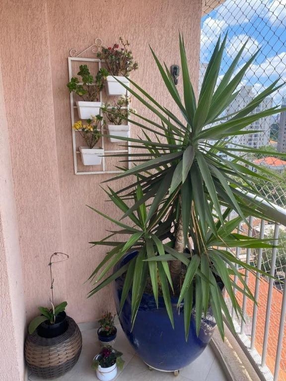 Apartamento à venda com 3 quartos, 73m² - Foto 8