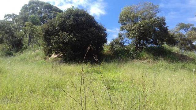 Terreno à venda, 20000m² - Foto 3