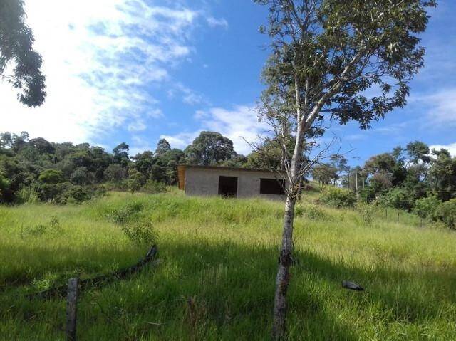 Terreno à venda, 20000m² - Foto 5