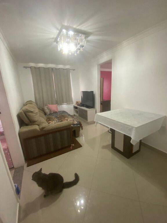 Apartamento à venda com 3 quartos, 52m² - Foto 9