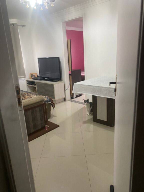 Apartamento à venda com 3 quartos, 52m² - Foto 25