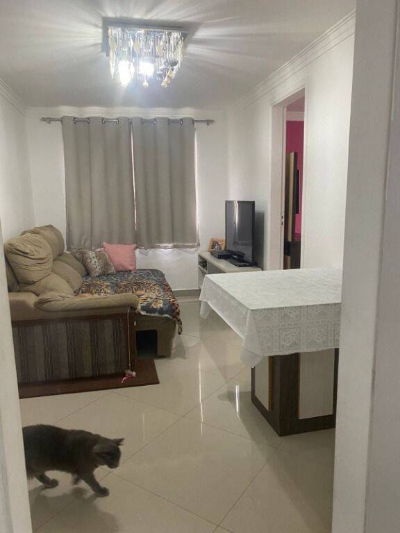 Apartamento à venda com 3 quartos, 52m² - Foto 27