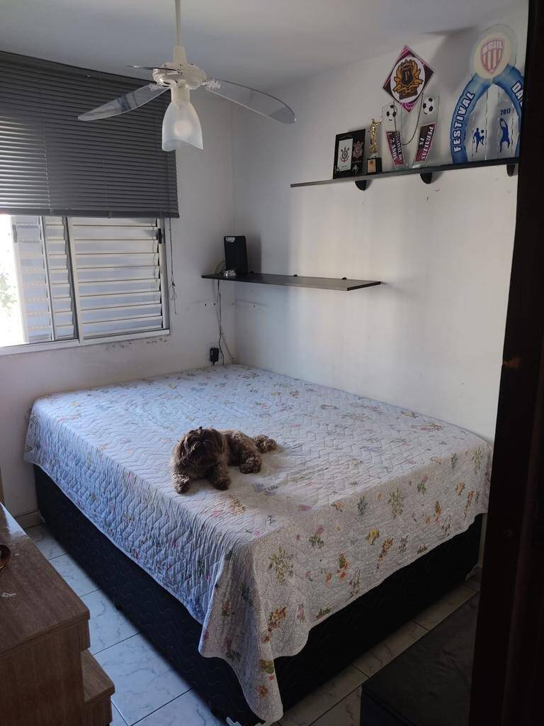 Apartamento à venda com 2 quartos, 56m² - Foto 14