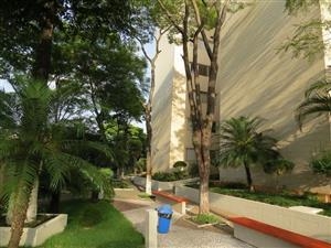 Apartamento à venda com 1 quarto, 52m² - Foto 1