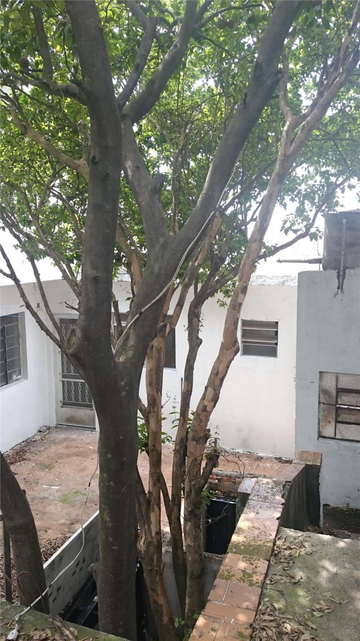 Sobrado à venda com 2 quartos, 100m² - Foto 1