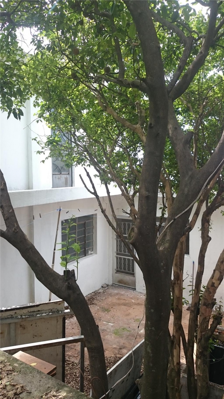 Sobrado à venda com 2 quartos, 100m² - Foto 12